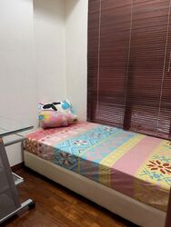 The Mayfair (D22), Condominium #481971851